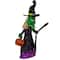 39" LED Lighted Witch with Broom Outdoor Halloween Decoration, Clear LED Lights